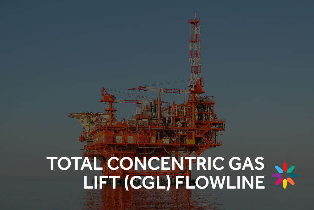 Total concentric gas lift case study button