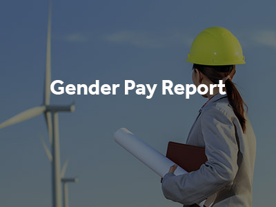 Gender Pay Report button