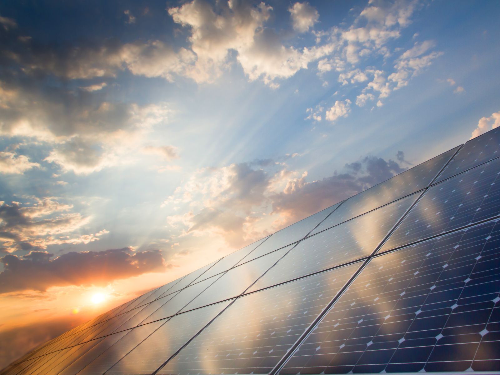 Solar Panels At Sunrise