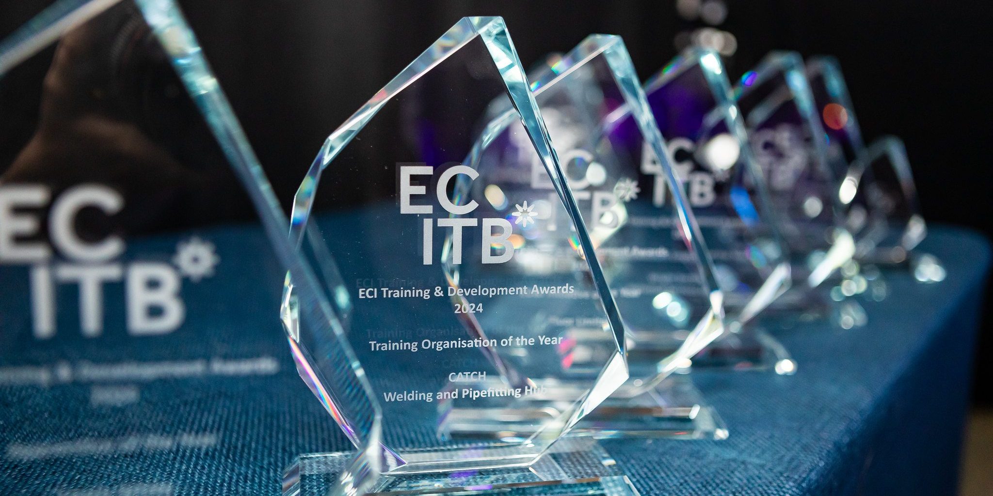 ECI Training & Development Awards 2024 Trophies