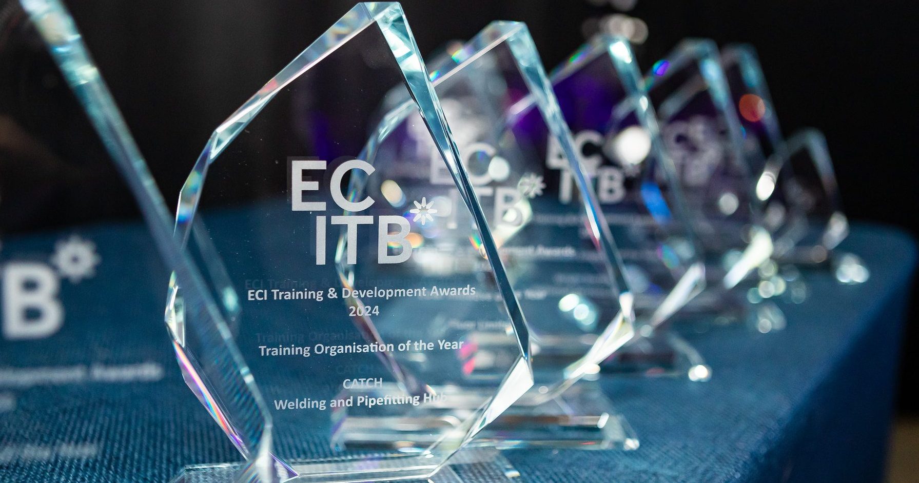 ECI Training & Development Awards 2024 Trophies